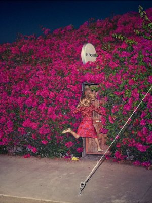 Feist: Neuer Song
