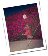 Feist: Neuer Song 