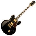 Gibson: Gitarrenhersteller plündert Regenwald