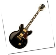 Gibson: Gitarrenhersteller pl&uuml;ndert Regenwald