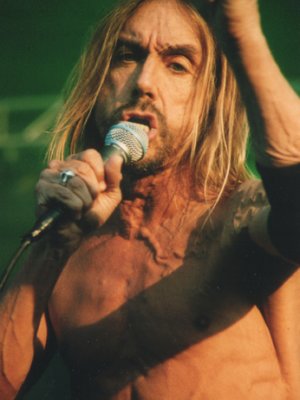 Gimme Danger: Die 50 besten Iggy Pop-Songs