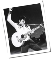 Hologramme: Elvis&comma; Jacko und Whitney wieder auf Tour