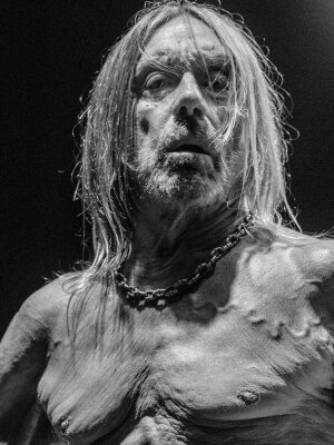 Iggy Pop: Neuer Song