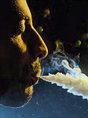 Kaas: Das Video zu