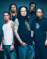 Korn: Video zu
