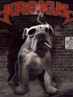 Krokus: Free Download der neuen Single
