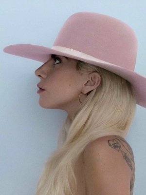Lady Gaga: Mit