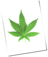 Legalize it&excl;: Die besten Songs &uuml;ber Drogen