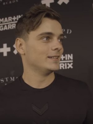 Martin Garrix: Die Videos zur EP