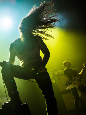 Metalsplitter: PETA zeigt Metal-Gig im Kuhstall an