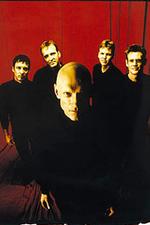 Midnight Oil: Fusion mit Violent Femmes