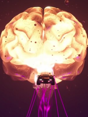 Muse: