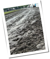Nach Starkregen: Wacken verh&auml;ngt Einlassverbot