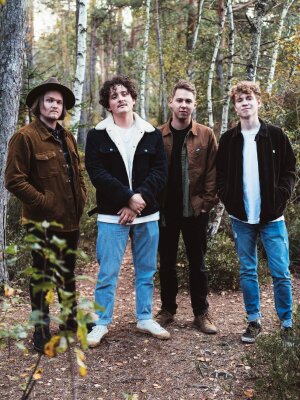 Provinz: Der neue Song