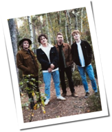 Provinz: Der neue Song 