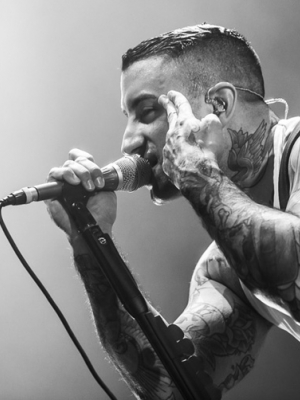 Rock im Sektor: Fotos von Kraftklub, Broilers, Linkin Park