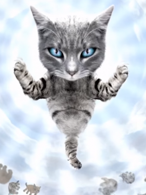 Run The Jewels: Verstörendes Katzenvideo zu