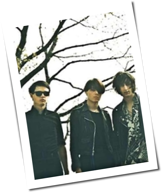 The Horrors: Neuer Song 