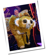 The Masked Singer: Die Finalist&ast;innen stehen fest