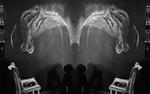 The National: Neues Video zu