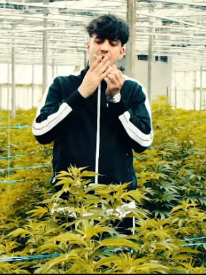 Ufo361: Neues Video zu