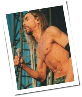 Umfrage: Iggy Pop zum h&auml;sslichsten Star gew&auml;hlt