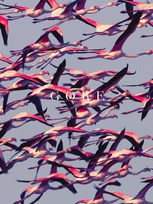 Vorchecking: Deftones, M83, Prezident