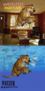 Weezer: Ein Hund geht um die Welt