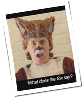 Ylvis: Der neue 