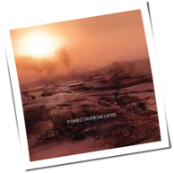 Nine Inch Nails - Y34RZ3R0R3M1X3D