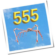 Noah Levi - 555