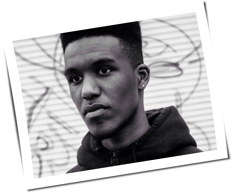 Novelist