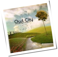 Owl City - All Things Bright And Beautiful