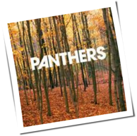 Panthers - Things Are Strange