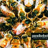 Paradise Lost - Believe In Nothing Artwork