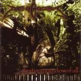 Path Of Golconda - Destination: Downfall Artwork