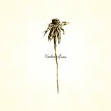 Patrick Watson And The Wooden Arms - Wooden Arms Artwork