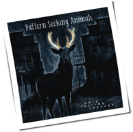 Pattern-Seeking Animals - Only Passing Through