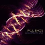 Paul Simon - So Beautiful Or So What Artwork