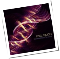 Paul Simon - So Beautiful Or So What