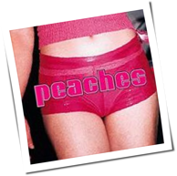 Peaches - The Teaches Of Peaches
