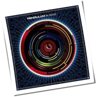Pendulum - In Silico