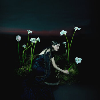 Penelope Trappes - A Requiem Artwork