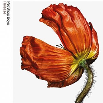 Pet Shop Boys - Release: Further Listening 2001-2004 Artwork