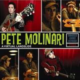 Pete Molinari - A Virtual Landslide
