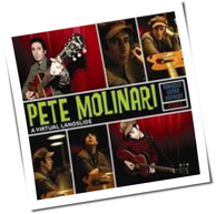 Pete Molinari - A Virtual Landslide