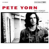 Pete Yorn - Day I Forgot Artwork