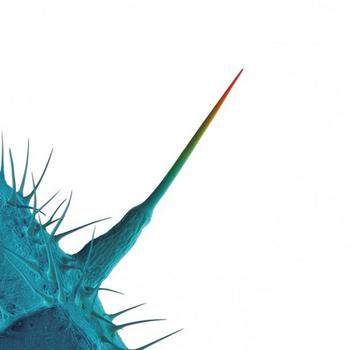Peter Gabriel - And I'll Scratch Yours Artwork