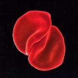 Peter Gabriel - Scratch My Back Artwork