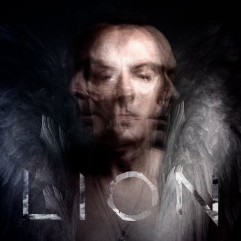 Peter Murphy - Lion Artwork